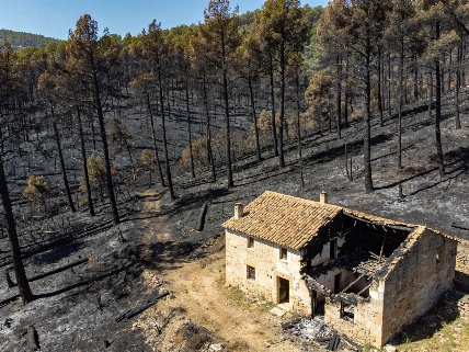 Пожар в La Vall d’Uixó: эвакуация 12 муниципалитетов и угроза парку Sierra de Espadán RUSSPAIN