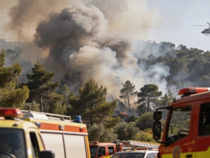Лесной пожар в Collserola: эвакуация и усиленные меры в Барселоне RUSSPAIN