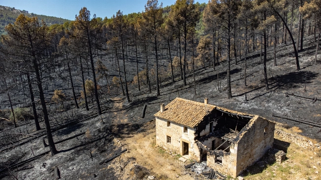 Пожар в La Vall d’Uixó: эвакуация 12 муниципалитетов и угроза парку Sierra de Espadán RUSSPAIN