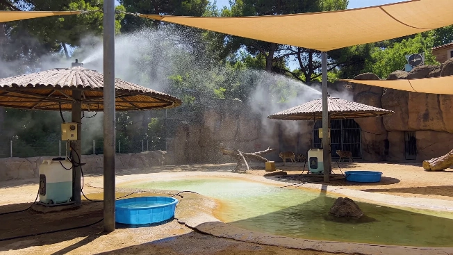 В Барселоне зоопарк усилил защиту животных от жары RUSSPAIN
