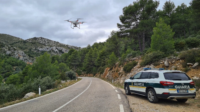 Власти ищут льва в горах Толедо с помощью дронов и вертолета RUSSPAIN.RU