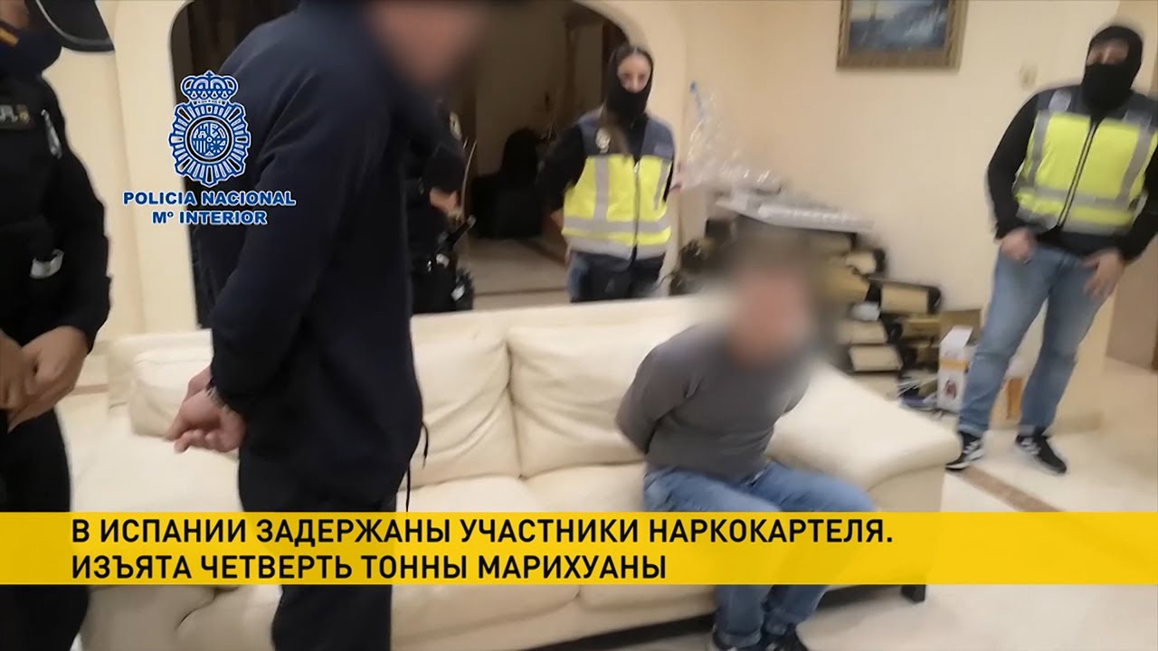 Милиция Беларуси, полиция Испании и Интерпол. Подробности операции RUSSPAIN