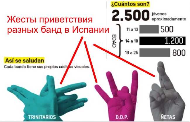 В Испании разрослись латиноамериканские банды, появились чисто девичьи RUSSPAIN
