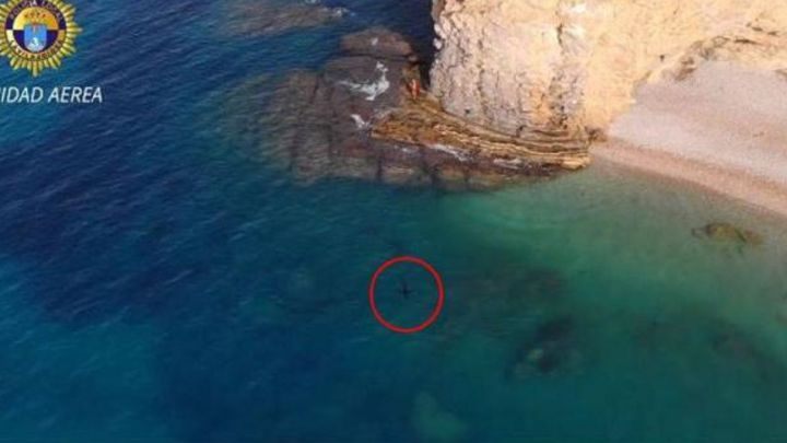 На испанском пляже снова заметили акулу RUSSPAIN