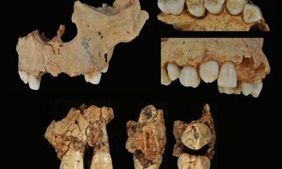 Съеденный каннибалами мальчик из пещеры в Испании оказался девочкой RUSSPAIN