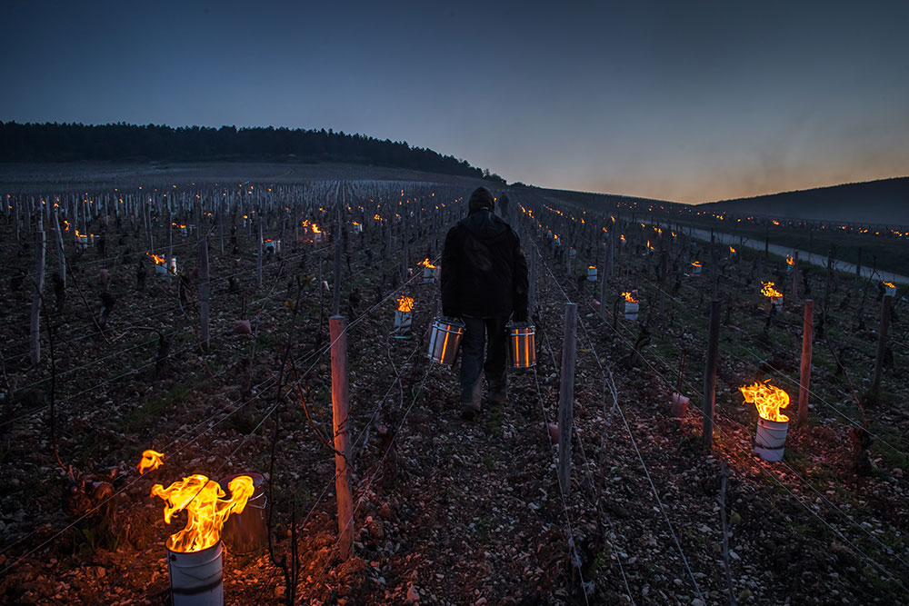 Фото © ТАСС / EPA / CHRISTOPHE PETIT TESSON RUSSPAIN