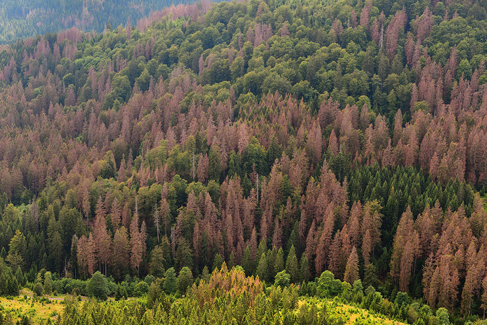 Фото © Shutterstock RUSSPAIN