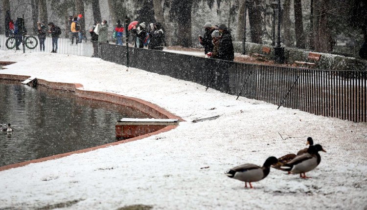 Image RUSSPAIN