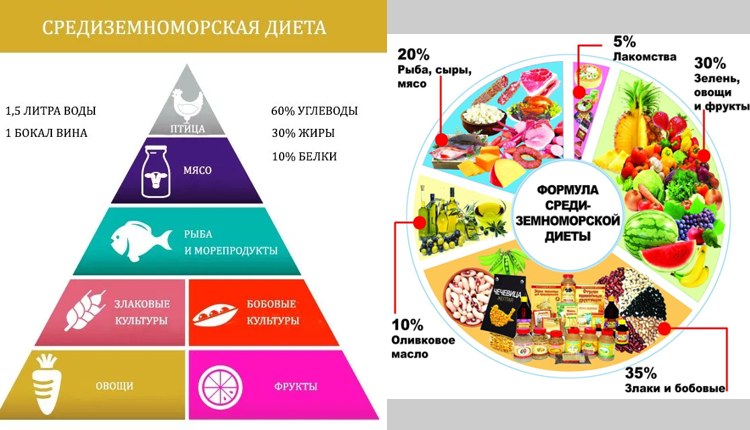 Учёные США на защите испанской / средиземноморской диеты RUSSPAIN