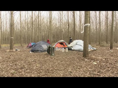 Нелегальные иммиграция в Европу застряли на границе Сербии и Венгрии RUSSPAIN