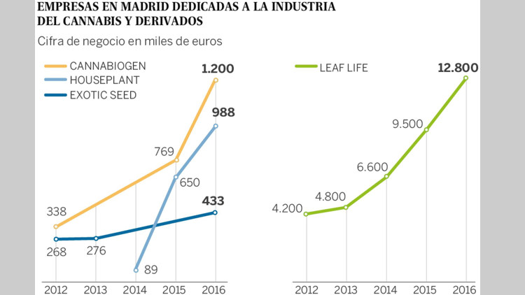 Álvaro Zamora, jefe de ventas internacionales de Leaf Life, en la sede madrileña de la empresa. RUSSPAIN