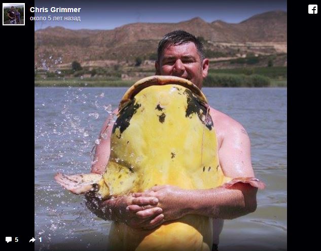 Image RUSSPAIN © russpain.ru